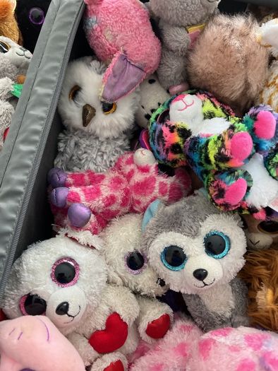 beanie boos