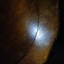 vintage plant stand Image 6