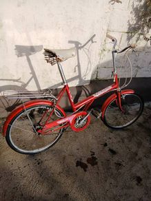Raleigh 20