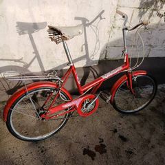 Raleigh 20