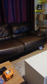 sofa couch