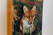 Wild Animals of The British Isles by Maurice Burton (HQ523)