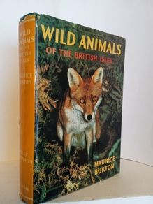 Wild Animals of The British Isles by Maurice Burton (HQ523)
