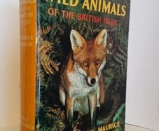 Wild Animals of The British Isles by Maurice Burton (HQ523)