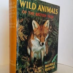 Wild Animals of The British Isles by Maurice Burton (HQ523)