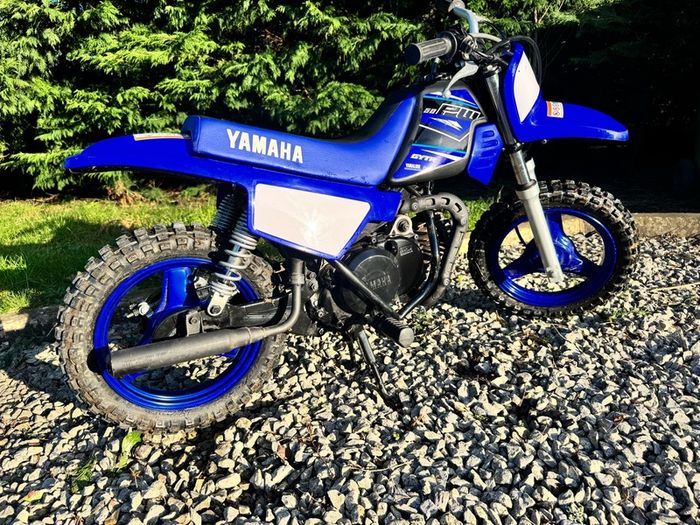 Yamaha pw50
