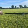 Portable feed trough Image 4