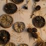 Dry Orange slices, christmas decoration, wreath making Image 3