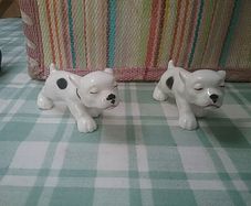 Two Spotty Pups