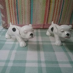 Two Spotty Pups
