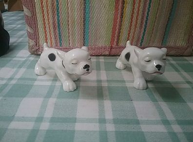 Two Spotty Pups