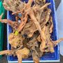 Aquarium Driftwood Size Medium Image 8