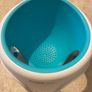 Angelcare bathseat Image 2