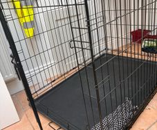 dog crate
