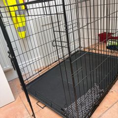 dog crate