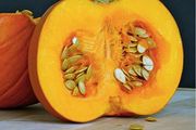 (P) Pumpkin Amazonka seeds 1g (125524)