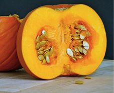 (P) Pumpkin Amazonka seeds 1g (125524)