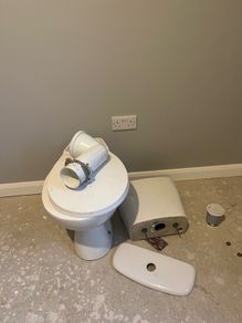 free toilet