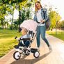 6 in 1 Baby Tricycle Toddler Stroller Pedal Tricycle w/ Reversible Seat Adjustable Removable Handle Canopy Handrail Belt Storage Footrest Clutch for 1-5 Years Old Pink MULTIPLE COLOURS AVAILABLE (FREE POSTAGE) Image 10