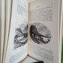 Ireland 100 Years Ago by Richard Lovett (RB512) Image 5