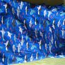Fatface boys raincoat  5-6yrs Image 6