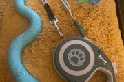 Dog Trio Accessories
