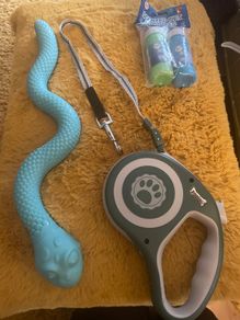 Dog Trio Accessories