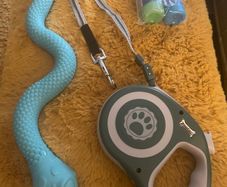 Dog Trio Accessories