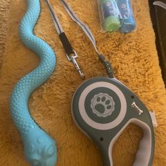 Dog Trio Accessories