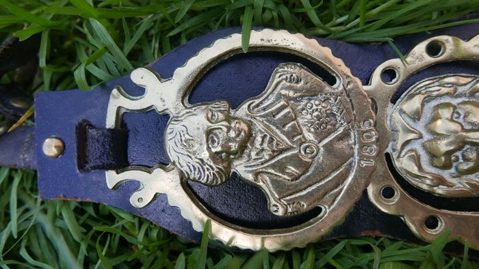 Horse Brass Badges on Black leather belt - Vintage solid brass