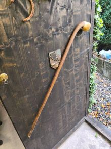 walking stick