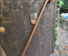 walking stick