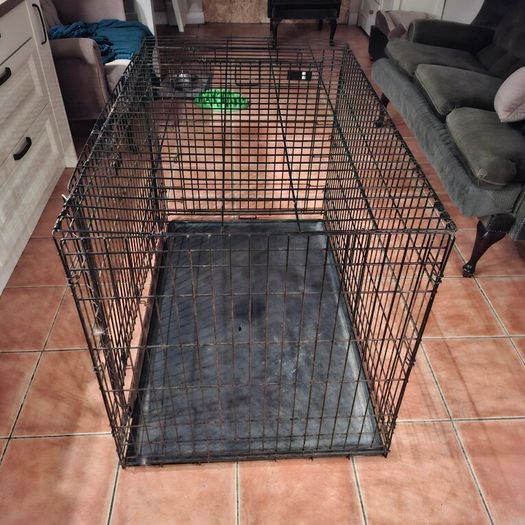dog crate