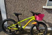 Orbea mountain bike