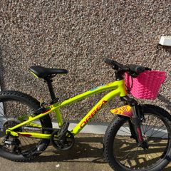 Orbea mountain bike