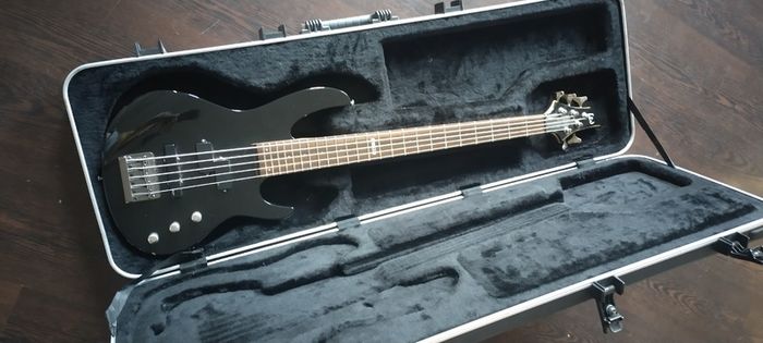ESP LTD 5 string bass
