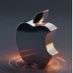 AppleMan101