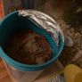 Fish tank Image 8