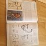 Drawing course collection of 9 Image 9