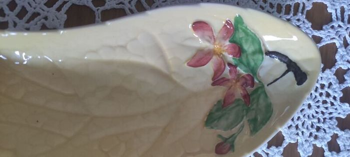 Carton Ware Dish