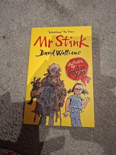 Mr Stink David Walliams book