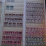 A nice collection of Stamps from India, presented in the stock book Image 7