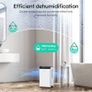 Dual Semiconductor Dehumidifier for Bathroom Basement Up to 20 with 2L Watertank, with 1.5m Drain Hose, Auto Defrost and Intelligent Humidity Control Image 3