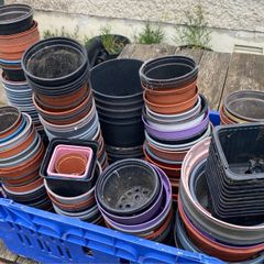 Flower pots