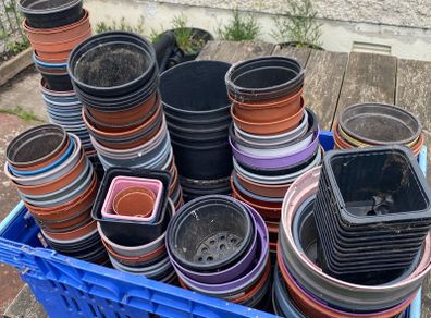 Flower pots