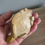 Vintage Carved Natural Stone Turtle Tortoise Figurine Image 8