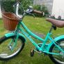Girls Bicycle 20 inch Image 4