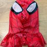 halloween costume - Spider-Man Image 5