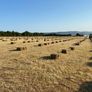 Hay square bales. Image 2