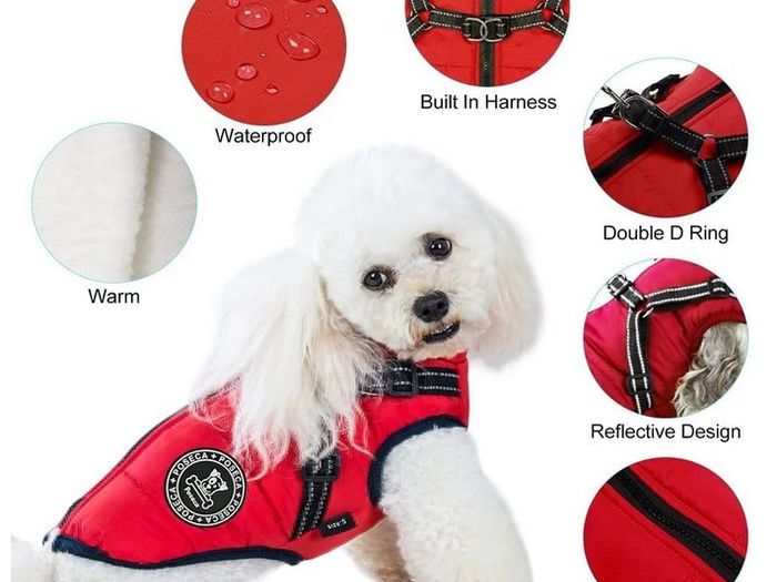 Poseca Insulated - waterproof Dog Jacket, small dog, integrated harness loop